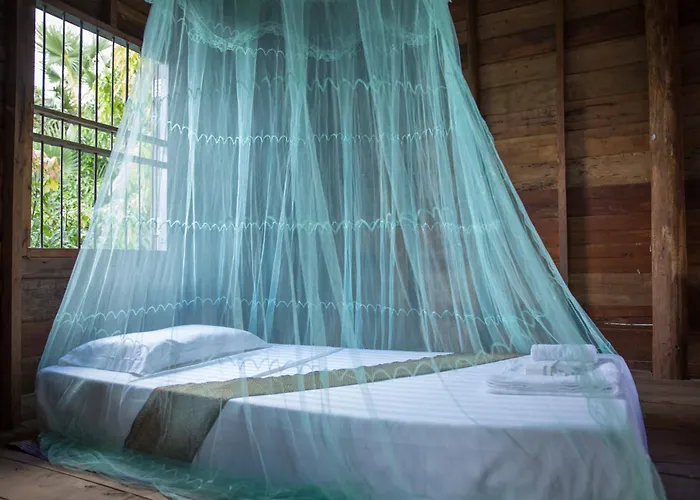 Chansor 14 By Siem Reap Homesteading