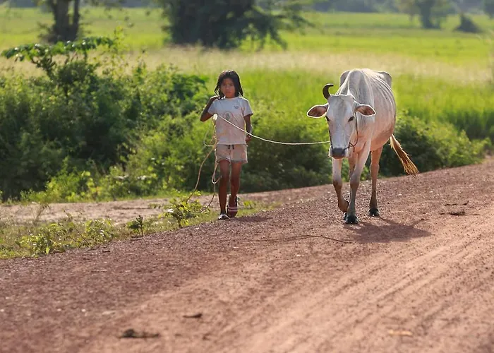 Chansor 14 By Siem Reap Homesteading Phumi Trach Pok