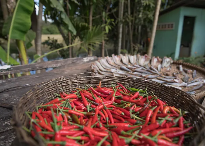 Chansor 14 By Siem Reap Homesteading * Phumi Trach Pok