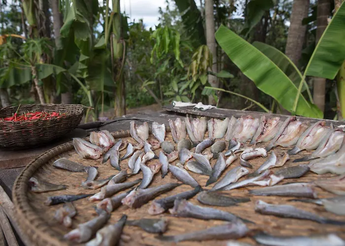 Chansor 14 By Siem Reap Homesteading Phumi Trach Pok