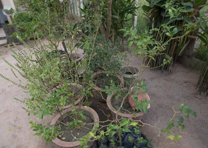 Chansor 14 By Siem Reap Homesteading Séjour chez l'habitant Phumi Trach Pok