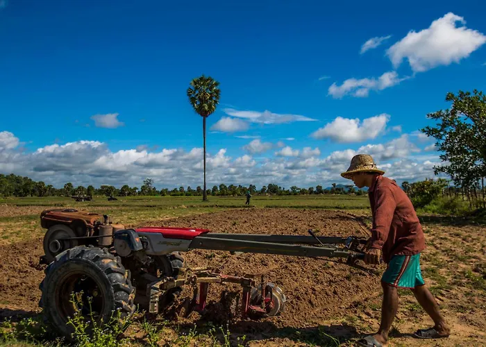 Chansor 14 By Siem Reap Homesteading Phumi Trach Pok