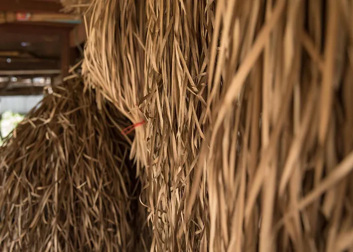 Chansor 14 By Siem Reap Homesteading *