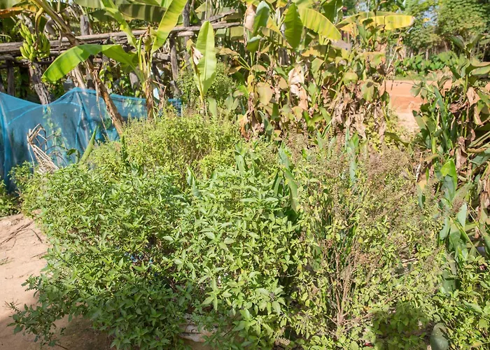 Chansor 14 By Siem Reap Homesteading Séjour chez l'habitant