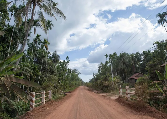 Chansor 14 By Siem Reap Homesteading Phumi Trach Pok